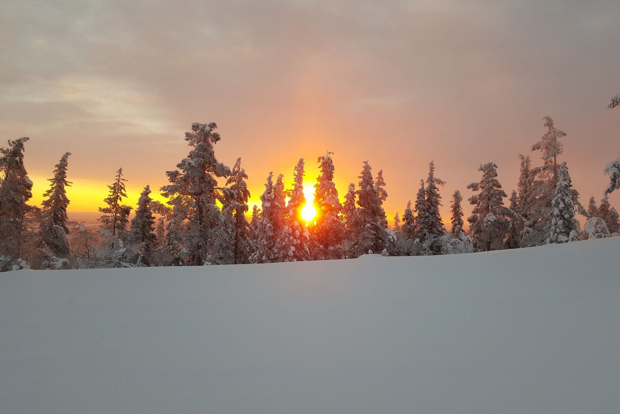 Kylmämaa - Lappean Loma