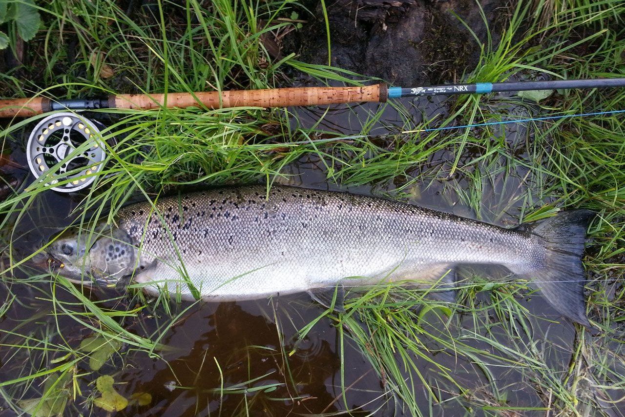 Lappean kalastus