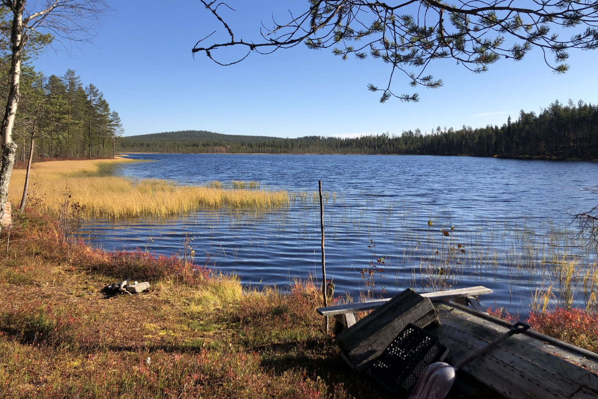 Järvikalastus